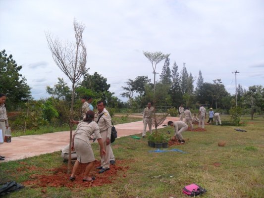 กิจกรรมโครงการอาสาปลูกป่า 800 ล้านกล้า 80 พรรษามหาราชินีและมอบเงินช่วยเหลือประชาชนบ้านพัง(10/08/55)