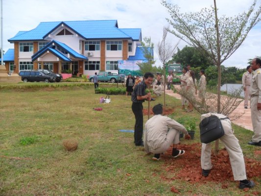 กิจกรรมโครงการอาสาปลูกป่า 800 ล้านกล้า 80 พรรษามหาราชินีและมอบเงินช่วยเหลือประชาชนบ้านพัง(10/08/55)