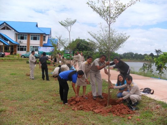 กิจกรรมโครงการอาสาปลูกป่า 800 ล้านกล้า 80 พรรษามหาราชินีและมอบเงินช่วยเหลือประชาชนบ้านพัง(10/08/55)