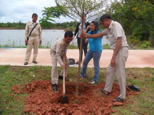 กิจกรรมโครงการอาสาปลูกป่า 800 ล้านกล้า 80 พรรษามหาราชินีและมอบเงินช่วยเหลือประชาชนบ้านพัง(10/08/55)