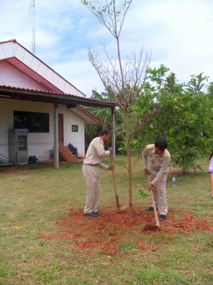 กิจกรรมโครงการอาสาปลูกป่า 800 ล้านกล้า 80 พรรษามหาราชินีและมอบเงินช่วยเหลือประชาชนบ้านพัง(10/08/55)