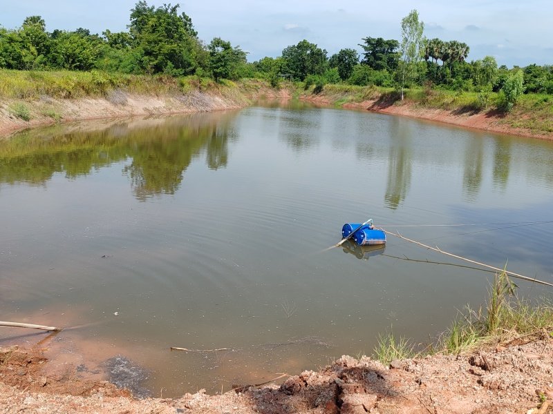 โครงการสูบน้ำเพื่อแก้ปัญหาภัยแล้ง
บ้านทุ่งหนองแหวน หมู่ที่ 6 ระหว่างวันที่ 19 -29 สิงหาคม 2568
และ บ้านหนองไผ่ หมู่ที่ 2 ระหว่างวันที่ 1-15 กันยายน
