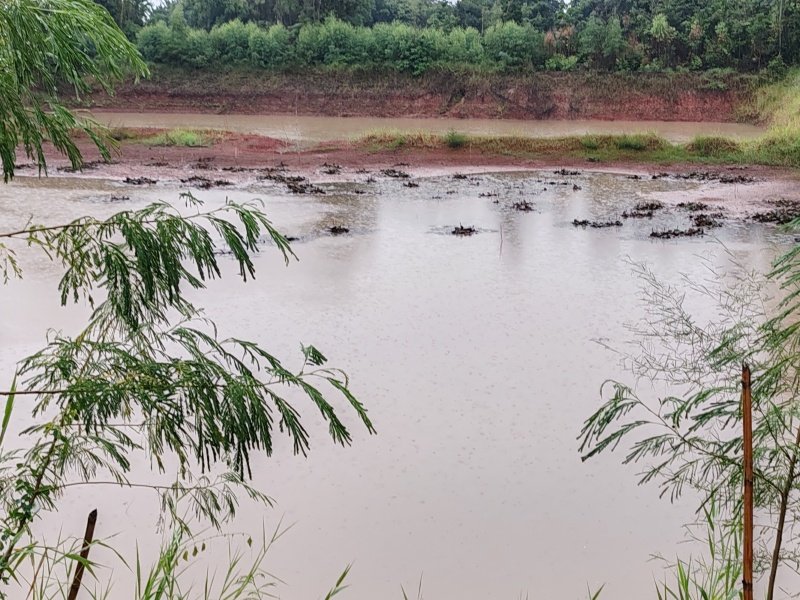 โครงการสูบน้ำเพื่อแก้ปัญหาภัยแล้ง
บ้านทุ่งหนองแหวน หมู่ที่ 6 ระหว่างวันที่ 19 -29 สิงหาคม 2568
และ บ้านหนองไผ่ หมู่ที่ 2 ระหว่างวันที่ 1-15 กันยายน
